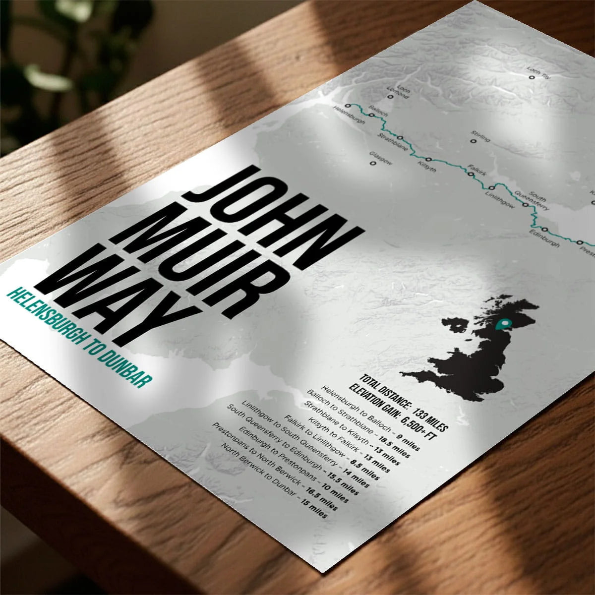 Print laying on table with speckled shade cast across the surface