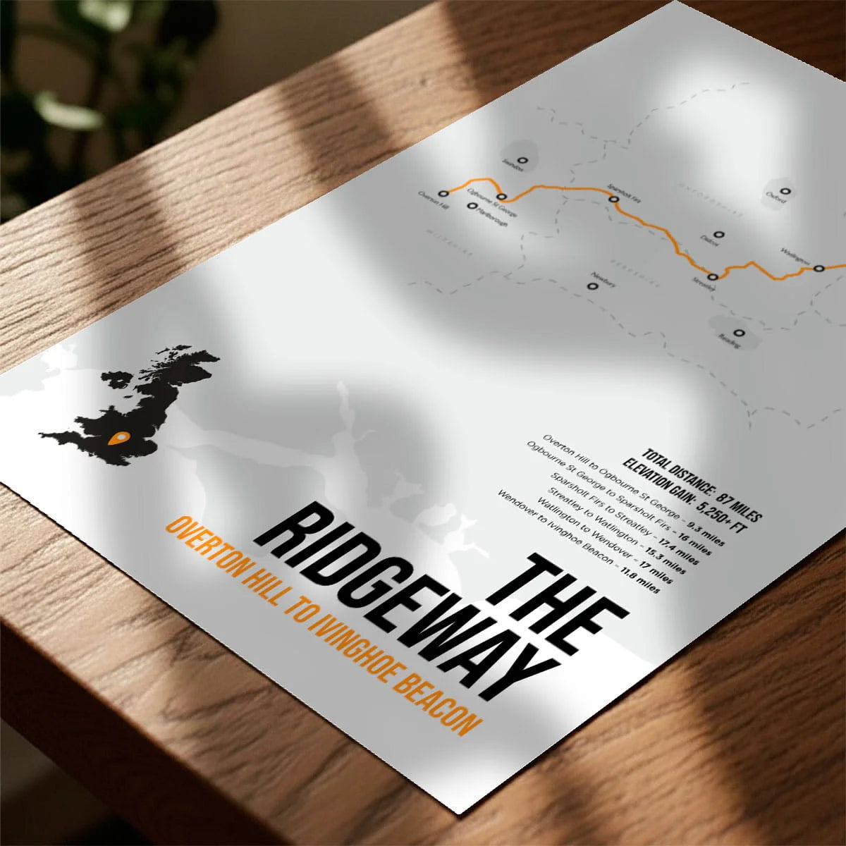 Print laying on table with speckled shade cast across the surface