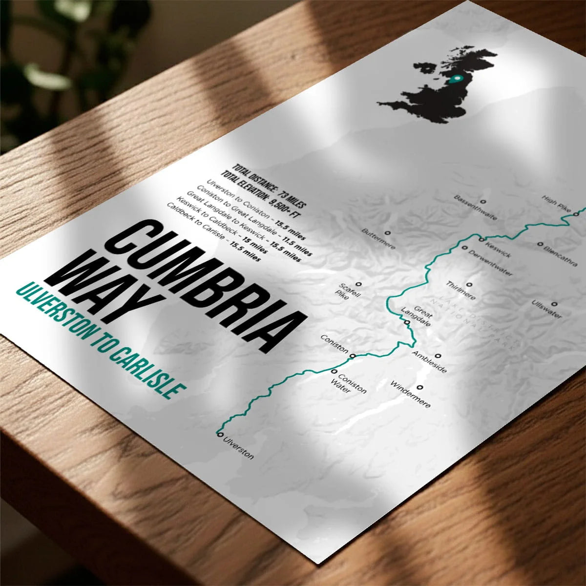 Print laying on table with speckled shade cast across the surface